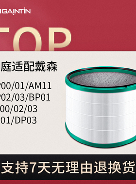 适配Dyson戴森空气净化器过滤网HP00/01/02/03/DP01/03风扇滤芯