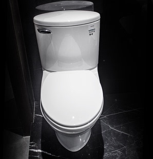 缓冲静音 SW804B智洁虹吸式 TOTO陶瓷分体式 马桶坐便器CW804BT305