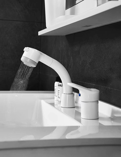 TOTO抽拉龙头DL361CR 单柄双控带升降旋转双出水面盆抽取式出水嘴