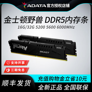 金士顿DDR5内存16G/32G 6000/6400台式机电脑内存条 超级野兽系列