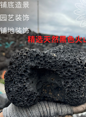 火山石黑色大块鱼缸造景园林装饰水族底沙过滤材料可培养硝化细菌