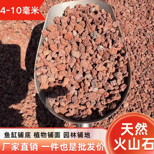 【红色4-10毫米】天然火山石鱼缸铺底过滤园林覆盖兰花铺50斤批发