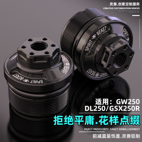灵兽适用铃木GW250前避震螺丝