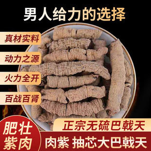 齐安堂巴戟天菟丝子野生特级500g正品 搭配锁阳肉苁蓉杜仲男性泡酒