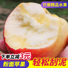 粉面苹果10斤沙甜粉苹果新鲜当季 婴儿宝宝刮泥老人吃秦冠丑苹果