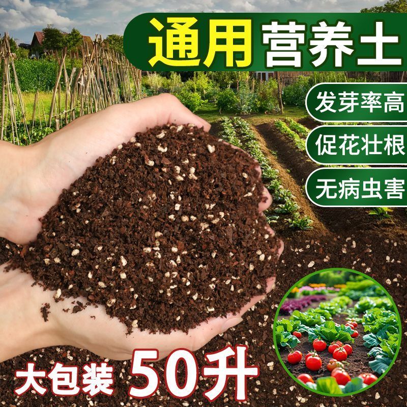 营养土通用型养花种菜专用家用花土多肉草莓种植土壤肥料