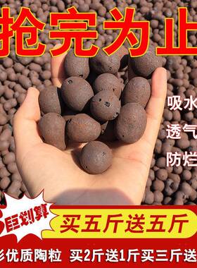 陶粒球花盆垫底园艺通用型空心陶粒水培垫盆底批发养花多肉发财树