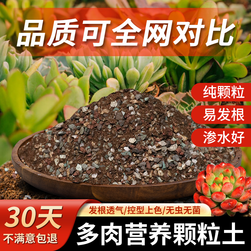 多肉颗粒土多肉专用营养土壤种植栽培泥炭铺面石植物纯颗粒花土