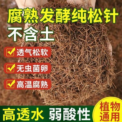 纯松针土兰花橡树叶腐叶腐熟松针多肉君子兰专用天然松针腐殖土