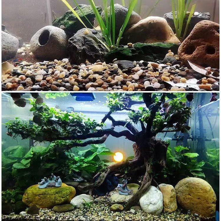 原生溪流底砂大叽沙豆石水族箱装饰造景辅底鱼缸砂天然石子通用型,鲜花速递/花卉仿真/绿植园艺,土壤覆盖物,淘宝优惠券,粉丝福利购,淘宝优惠卷