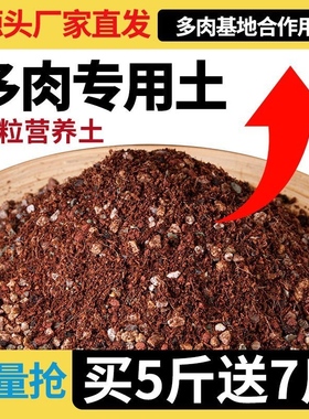 多肉专用土70%颗粒土种花土营养土多肉种植铺面叶插配方土专用土
