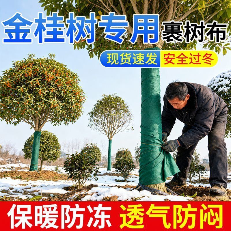 金桂树专用防寒布裹树布果树专用包树布条保暖防冻保温园林绿化布