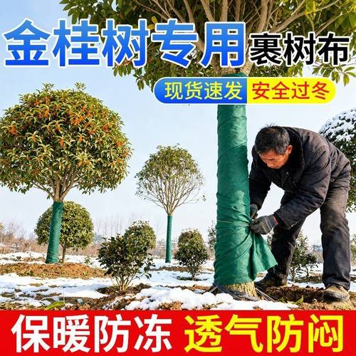 金桂树专用防寒布裹树布果树专用包树布条保暖防冻保温园林绿化布