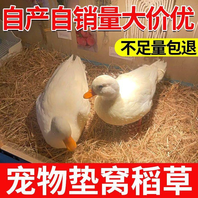 稻草干草垫料兔子过冬草狗窝鸡宠物垫窝天然干稻草秸秆禾杆草保暖,鲜花速递/花卉仿真/绿植园艺,土壤覆盖物,淘宝优惠券,粉丝福利购,淘宝优惠卷