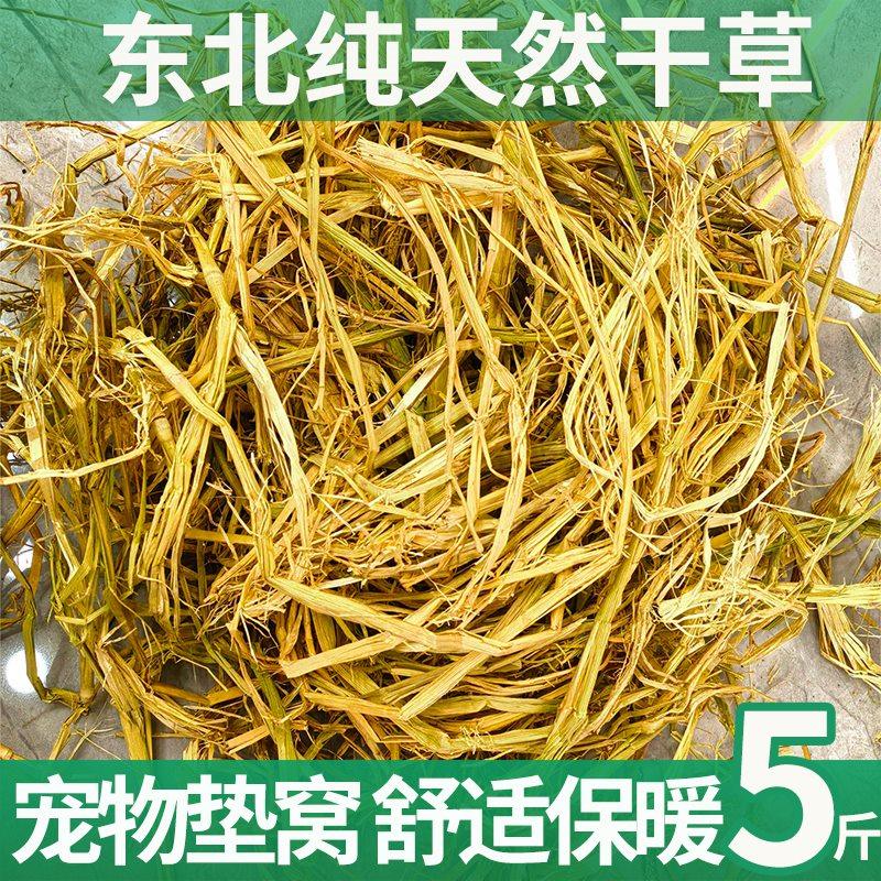稻草垫窝保暖干净干燥东北新稻草纤维草窝兔子床垫普通稻草狗料,鲜花速递/花卉仿真/绿植园艺,土壤覆盖物,淘宝优惠券,粉丝福利购,淘宝优惠卷