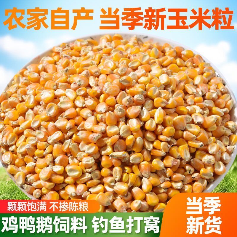 农家自产散装干玉米粒新玉米鸡鸭鸟宠物动物饲料粗粮鸽粮5斤10斤