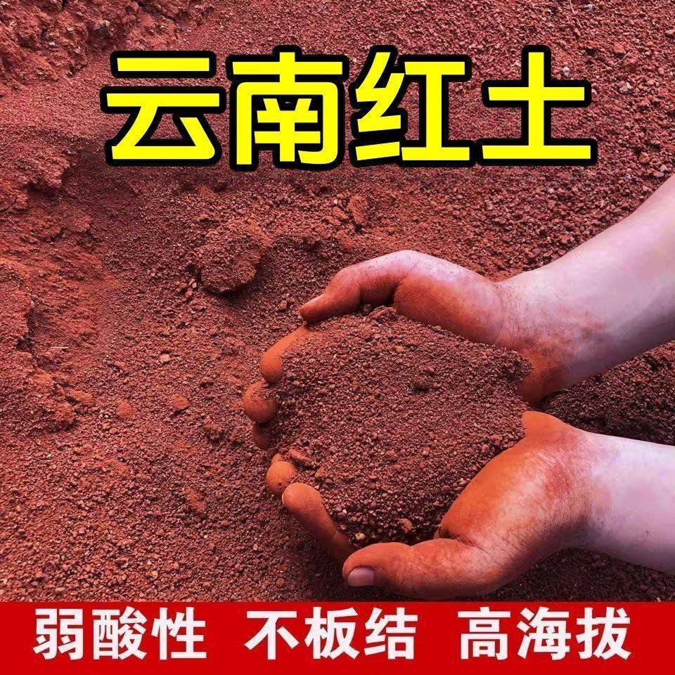 云南高原酸性小颗粒红土茶花茉莉花种植土绿植盆栽花卉营养专用土,鲜花速递/花卉仿真/绿植园艺,土壤覆盖物,淘宝优惠券,粉丝福利购,淘宝优惠卷