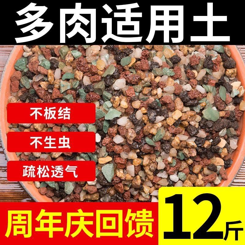 多肉颗粒土专用多肉土多肉新款颗粒土泥炭成株老桩换盆叶插通用型
