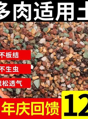 多肉颗粒土专用多肉土多肉新款颗粒土泥炭成株老桩换盆叶插通用型