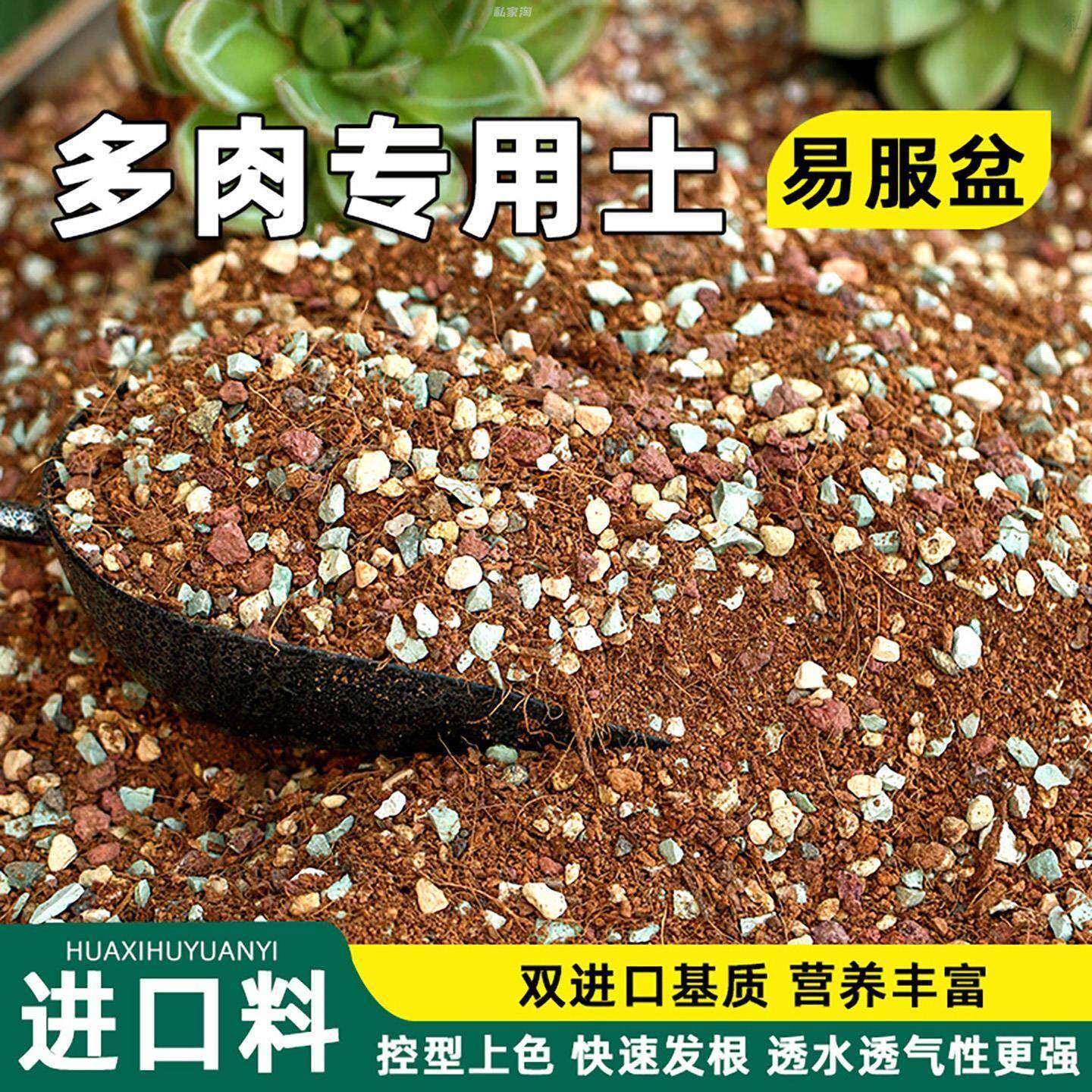 多肉颗粒土专用营养土植物泥炭种植土壤肉肉叶插小苗老桩颗粒花土