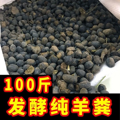 100斤羊粪发酵有机肥料羊粪蛋发酵纯羊粪颗粒羊粪批发营养土基质