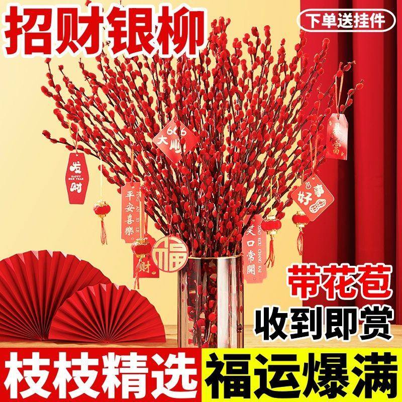 招财银柳真花鲜枝喜庆年宵花红银柳室内水培干花鲜花装饰摆设花束,鲜花速递/花卉仿真/绿植园艺,土壤覆盖物,淘宝优惠券,粉丝福利购,淘宝优惠卷