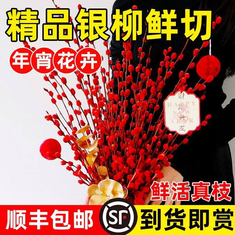 银柳真花鲜枝抱抱福桶喜庆花卉盆栽室内红色干花水培植物雪柳干枝,鲜花速递/花卉仿真/绿植园艺,土壤覆盖物,淘宝优惠券,粉丝福利购,淘宝优惠卷