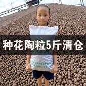 园艺陶粒批发垫底花盆垫底多肉10斤养花铺面石子水培透气花卉多肉