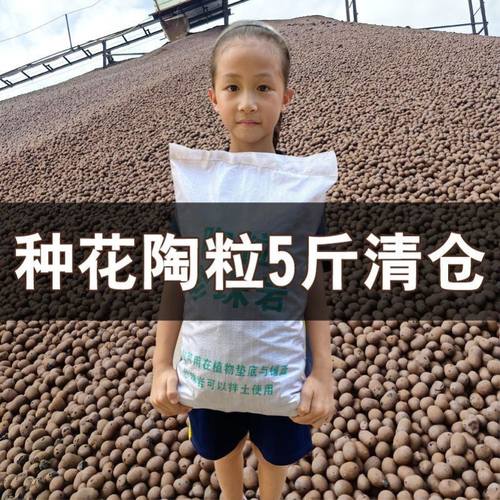 园艺陶粒批发垫底花盆垫