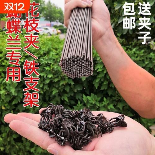 蝴蝶兰专用支架兰花卉固定夹子保护帽植物固定枝器包塑花架支撑杆