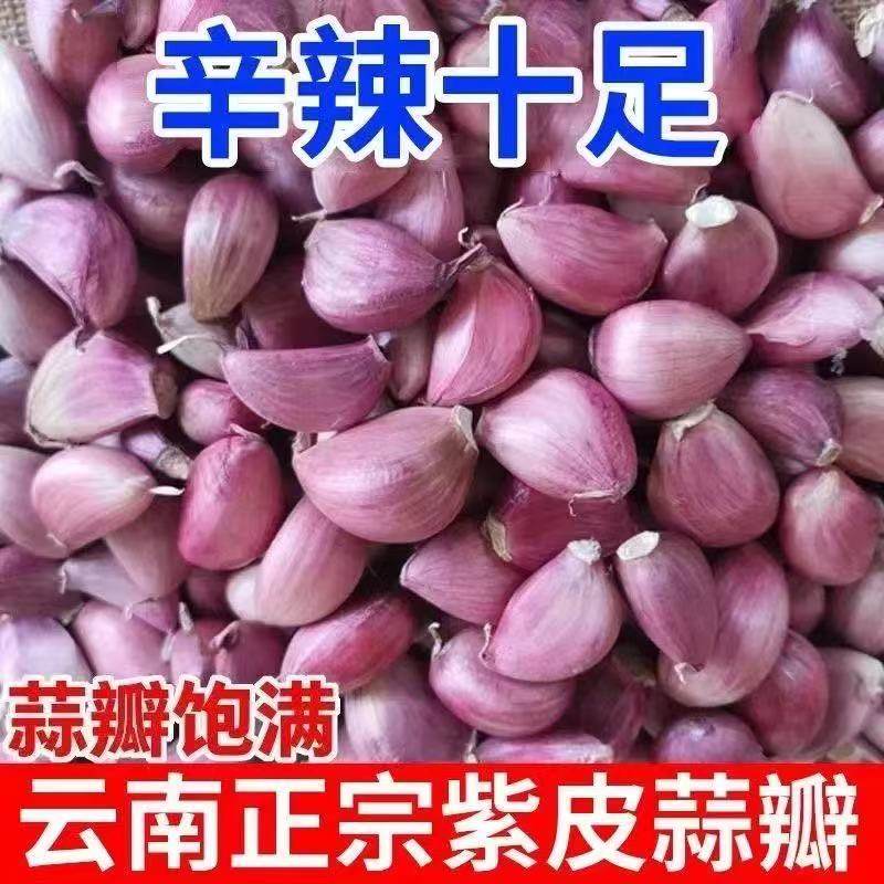 云南紫皮瓣蒜大蒜种子红皮大蒜头新干蒜米蒜苗出蒜苔可种可吃蒜子,鲜花速递/花卉仿真/绿植园艺,种苗/半成品盆栽,淘宝优惠券,粉丝福利购,淘宝优惠卷