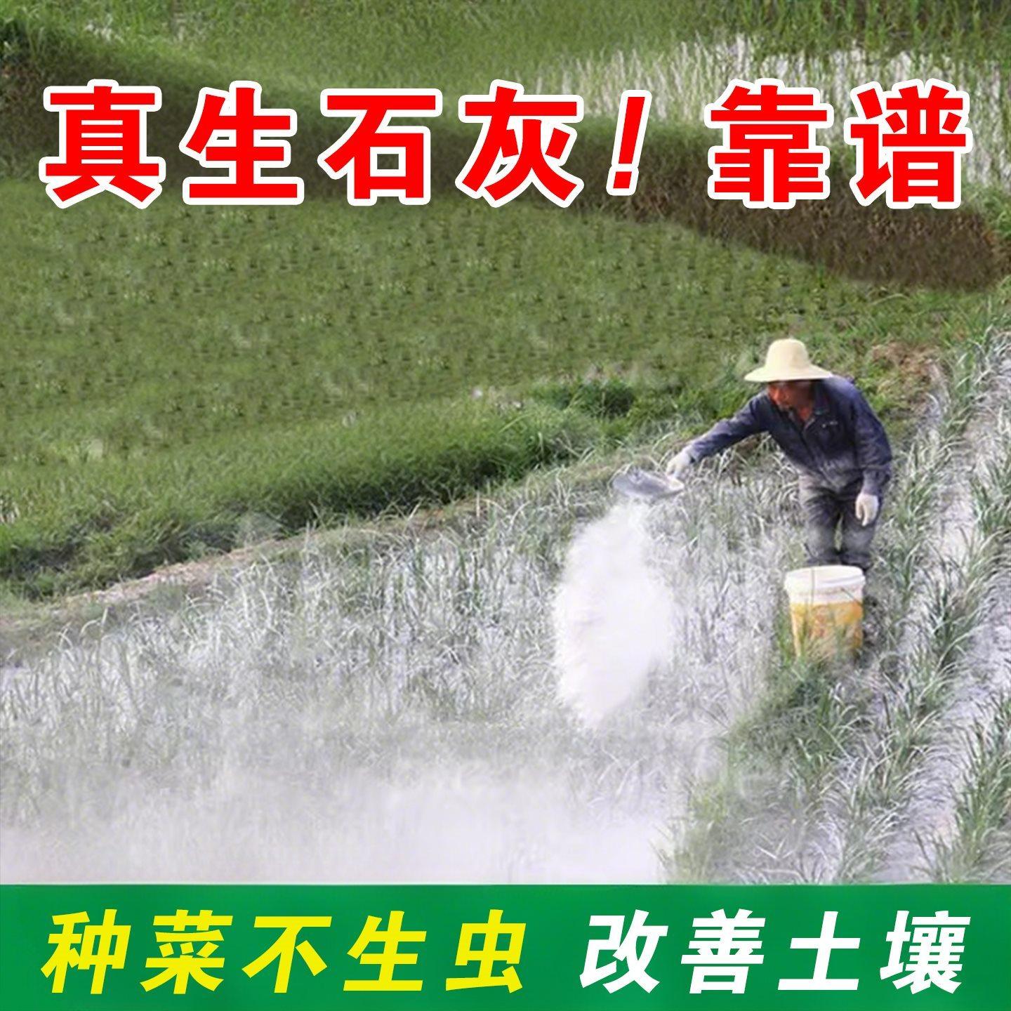 【蔬菜专用】生石灰粉土壤杀菌菜地除虫高纯度生石灰改善土壤防虫,鲜花速递/花卉仿真/绿植园艺,家庭园艺肥料,淘宝优惠券,粉丝福利购,淘宝优惠卷