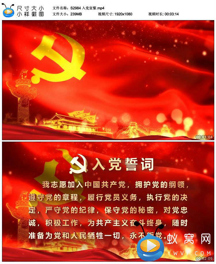 s2984 入党宣誓  誓词 视频素材