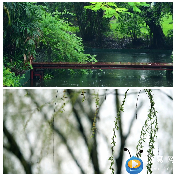 S2640 春雨沙沙 儿歌歌曲春天下雨背景视频素材