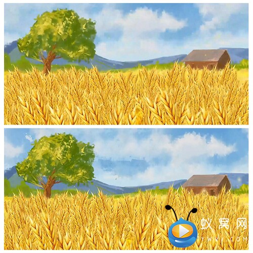 S4136 秋天丰收 麦田  插画LED背景视频素材