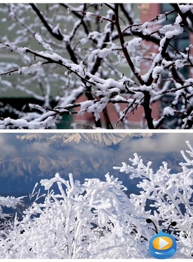 S4345《下雪的早晨》   诗歌朗诵演讲LED背景视频素材