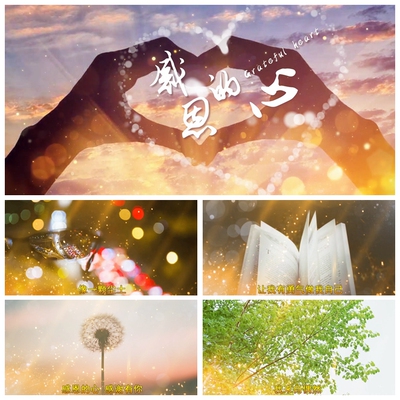 S1792 感恩的心 (原唱) 歌词字幕版本歌曲MV 视频素材制作