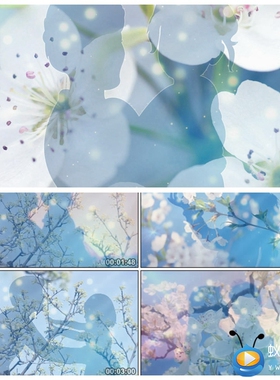 S812 歌曲 梨花又开放 配乐 成品 唯美 感恩妈妈晚会led视频素材