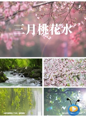 S4451三月桃花水 春天春暖花开 散文诗歌课件LED背景朗诵视频素材