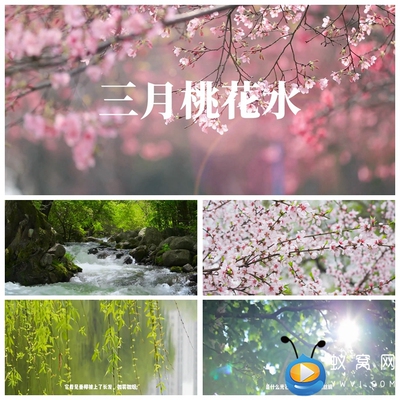 S4451三月桃花水 春天春暖花开 散文诗歌课件LED背景朗诵视频素材
