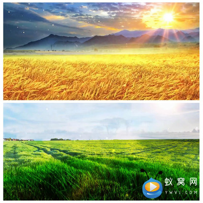 S3350 希望的田野 歌曲MV晚会LED节目大屏舞美背景视频素材