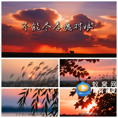 S6690《不能尽孝愧对娘》伴奏唯美意境 唯美 歌曲MV 背景视频素材