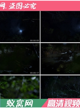 S823 乡村 夜晚森林树林树叶 晚上溪流水面 流水夜景 视频素材