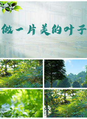 S6011《做一片美的叶子》经典少儿演讲朗诵比赛 LED大屏视频素材