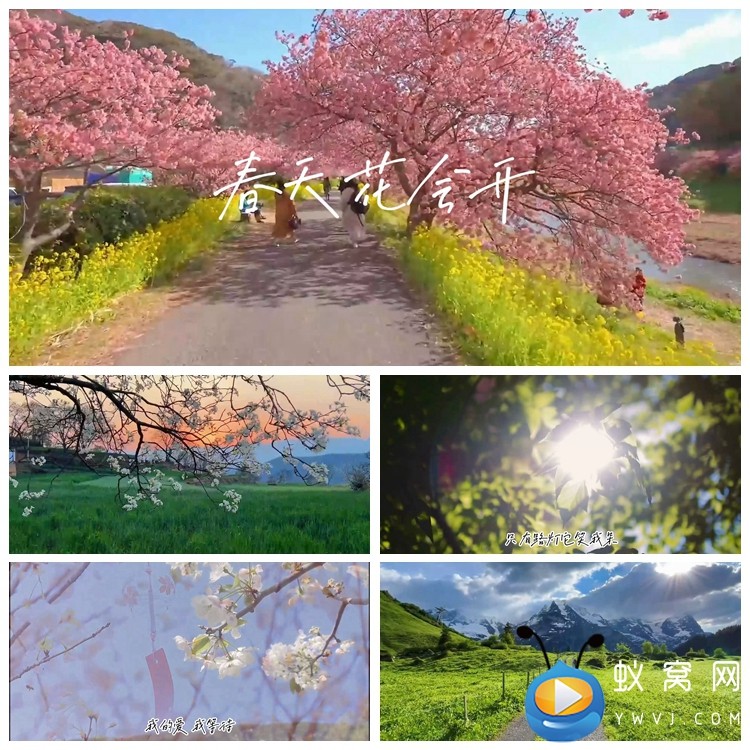 S4459 春天花会开 歌曲MV歌词字幕春暖花开 大屏舞美背景视频素材