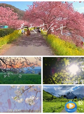 S4459 春天花会开 歌曲MV歌词字幕春暖花开 大屏舞美背景视频素材