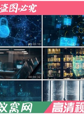 S442 加密信息互联网安全 区块链加密 去中心化加密算法视频素材