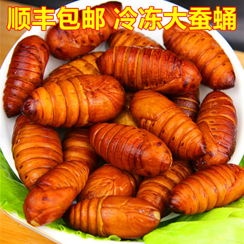 东北大榨蚕蛹l冷冻顺丰包邮
