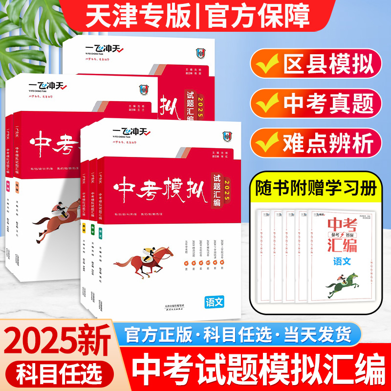 2025一飞冲天中考汇编模拟试题