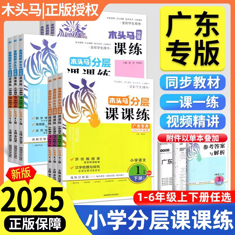 2025版木头马分层课课练广东专版